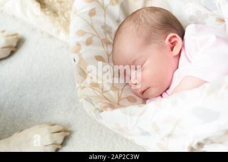 Schlafendes neugeborenes Baby mit Beagle-Hund neben ihr. Süßes kleines Mädchen, eine Woche alt. Schmückendes liegen auf der mit Decke überzogenen Seite. Stockfoto