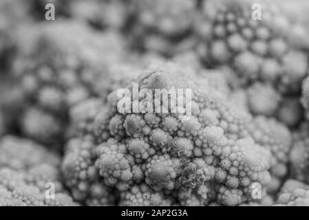 Romanesco Blumenkohl ist eine Essbare Blüte in Italien entstanden Stockfoto
