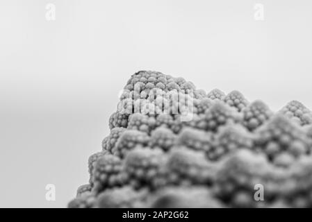Romanesco Blumenkohl ist eine Essbare Blüte in Italien entstanden Stockfoto