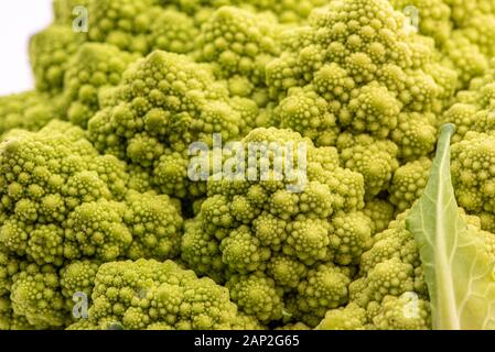 Romanesco Blumenkohl ist eine Essbare Blüte in Italien entstanden Stockfoto