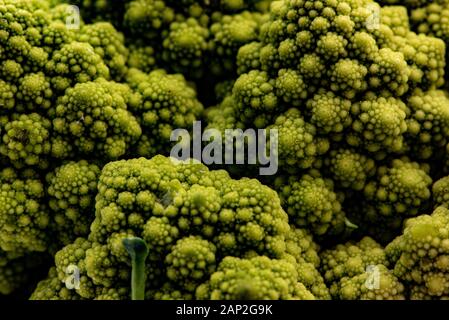 Romanesco Blumenkohl ist eine Essbare Blüte in Italien entstanden Stockfoto