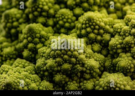 Romanesco Blumenkohl ist eine Essbare Blüte in Italien entstanden Stockfoto