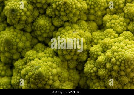 Romanesco Blumenkohl ist eine Essbare Blüte in Italien entstanden Stockfoto