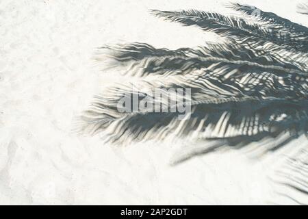 Palm Leaf Schatten auf weißem Sand am tropischen Strand. Trendy urlaub Konzept. Selektive konzentrieren. Stockfoto
