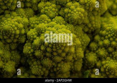 Romanesco Blumenkohl ist eine Essbare Blüte in Italien entstanden Stockfoto