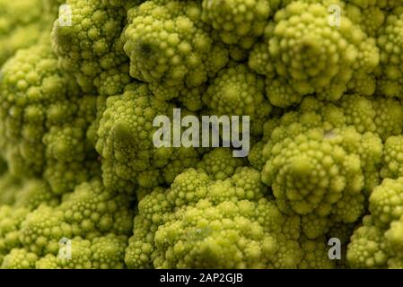 Romanesco Blumenkohl ist eine Essbare Blüte in Italien entstanden Stockfoto