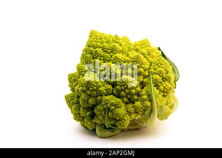 Romanesco Blumenkohl ist eine Essbare Blüte in Italien entstanden Stockfoto