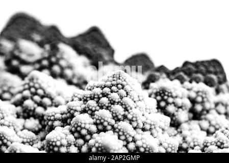 Romanesco Blumenkohl ist eine Essbare Blüte in Italien entstanden Stockfoto