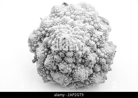 Romanesco Blumenkohl ist eine Essbare Blüte in Italien entstanden Stockfoto