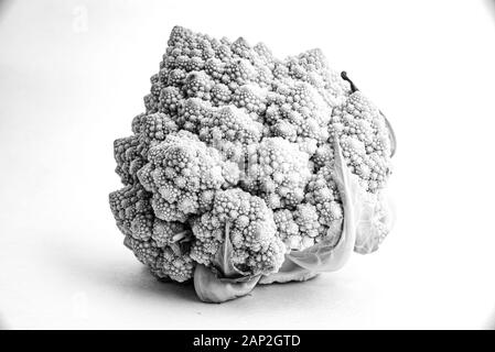 Romanesco Blumenkohl ist eine Essbare Blüte in Italien entstanden Stockfoto