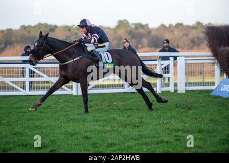 Ascot, Berkshire, Großbritannien. 18 Jan, 2020. Ascot, Berkshire, Großbritannien. 18 Jan, 2020. Jockey Jack Tudor auf Pferd Sam's Abenteuer in der Bet365 Handicap Steeple Chase. Credit: Maureen McLean/Alamy Stockfoto