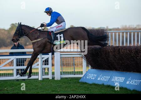 Ascot, Berkshire, Großbritannien. 18 Jan, 2020. Ascot, Berkshire, Großbritannien. 18 Jan, 2020. Jockey Paddy Brennan Rennen in der Bet365 Handicap Steeple Chase auf Pferd Aintree mein Traum. Inhaber Frau D J Braun, Trainer Milton Harris, Warminister, Züchter Anne Sophie Orriere & Didier Veillon. Credit: Maureen McLean/Alamy Stockfoto