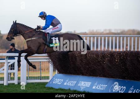 Ascot, Berkshire, Großbritannien. 18 Jan, 2020. Ascot, Berkshire, Großbritannien. 18 Jan, 2020. Jockey Paddy Brennan Rennen in der Bet365 Handicap Steeple Chase auf Pferd Aintree mein Traum. Inhaber Frau D J Braun, Trainer Milton Harris, Warminister, Züchter Anne Sophie Orriere & Didier Veillon. Credit: Maureen McLean/Alamy Stockfoto