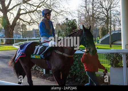 Ascot, Berkshire, Großbritannien. 18 Jan, 2020. Ascot, Berkshire, Großbritannien. 18 Jan, 2020. Jockey Paddy Brennan Köpfe für die Bet365 Handicap Steeple Chase auf Pferd Aintree mein Traum. Inhaber Frau D J Braun, Trainer Milton Harris, Warminister, Züchter Anne Sophie Orriere & Didier Veillon. Credit: Maureen McLean/Alamy Stockfoto