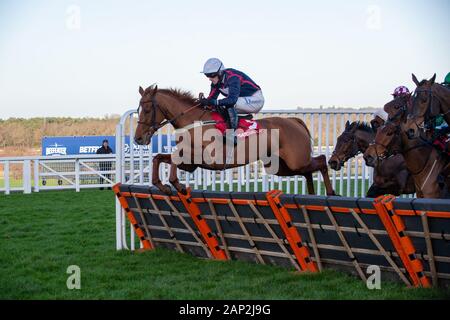 Ascot, Berkshire, Großbritannien. 18 Jan, 2020. Ascot, Berkshire, Großbritannien. 18 Jan, 2020. Jockey James Nixon Rennen auf Horse Song für jemanden in der streichholzschachtel Holloway Handicap Hurdle Race (Klasse 1). Eigentümer Sir Peter & Lady Gibbings, Trainer Tom Symonds, Hentland, Züchter J Bervoets, Sponsor Einfach umwerfende Innenausstattung. Credit: Maureen McLean/Alamy Stockfoto