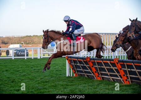 Ascot, Berkshire, Großbritannien. 18 Jan, 2020. Ascot, Berkshire, Großbritannien. 18 Jan, 2020. Jockey James Nixon Rennen auf Horse Song für jemanden in der streichholzschachtel Holloway Handicap Hurdle Race (Klasse 1). Eigentümer Sir Peter & Lady Gibbings, Trainer Tom Symonds, Hentland, Züchter J Bervoets, Sponsor Einfach umwerfende Innenausstattung. Credit: Maureen McLean/Alamy Stockfoto