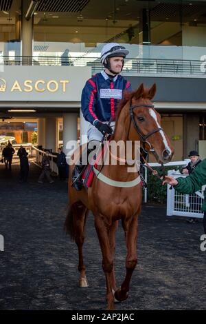 Ascot, Berkshire, Großbritannien. 18 Jan, 2020. Ascot, Berkshire, Großbritannien. 18 Jan, 2020. Jockey James Nixon Rennen auf Horse Song für jemanden in der streichholzschachtel Holloway Handicap Hurdle Race (Klasse 1). Eigentümer Sir Peter & Lady Gibbings, Trainer Tom Symonds, Hentland, Züchter J Bervoets, Sponsor Einfach umwerfende Innenausstattung. Credit: Maureen McLean/Alamy Stockfoto