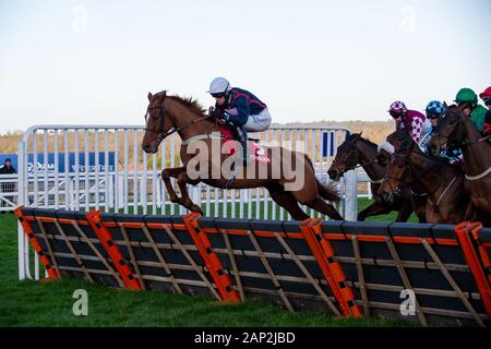 Ascot, Berkshire, Großbritannien. 18 Jan, 2020. Ascot, Berkshire, Großbritannien. 18 Jan, 2020. Jockey James Nixon Rennen auf Horse Song für jemanden in der streichholzschachtel Holloway Handicap Hurdle Race (Klasse 1). Eigentümer Sir Peter & Lady Gibbings, Trainer Tom Symonds, Hentland, Züchter J Bervoets, Sponsor Einfach umwerfende Innenausstattung. Credit: Maureen McLean/Alamy Stockfoto