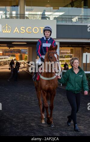 Ascot, Berkshire, Großbritannien. 18 Jan, 2020. Ascot, Berkshire, Großbritannien. 18 Jan, 2020. Jockey James Nixon Rennen auf Horse Song für jemanden in der streichholzschachtel Holloway Handicap Hurdle Race (Klasse 1). Eigentümer Sir Peter & Lady Gibbings, Trainer Tom Symonds, Hentland, Züchter J Bervoets, Sponsor Einfach umwerfende Innenausstattung. Credit: Maureen McLean/Alamy Stockfoto