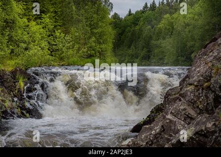 Wasserfall Kivach in Karelien. Russland Stockfoto