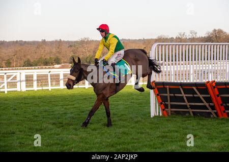 Ascot, Berkshire, Großbritannien. 18 Jan, 2020. Jockey Robbie Macht in der Bet365 Mares Hurdle Race auf Magie des Lichts. Eigentümer Ann & Alan Potts, Trainer Frau J Harrington. Credit: Maureen McLean/Alamy Stockfoto