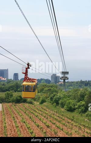 Luftseilbahn über grüne Gärten. Seilbahnkabine über dem Feld. Stockfoto