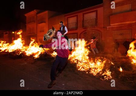 Vilanova d'Alcolea, Castellón, Spanien - 19. Januar 2019:Die Pferde springen beim traditionellen fest des heiligen Antonio in Vilanova d'Alcolea über das Feuer Stockfoto