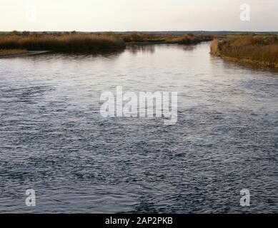 Syrien. Flusslauf Der euphrat zwischen Deir ez-Zor und Abou Kemal. Euphrat Valley. Stockfoto