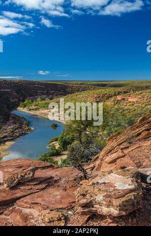 Spektakuläre Aussichtsplattform vom Naturfenster im Kalbari-Nationalpark entlang der kurvenreichen Murchison River Schlucht in Western Australia. Stockfoto