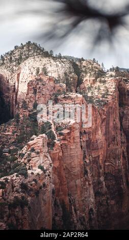 Blick von der Angels Landing Trail in Richtung Canyon im Zion National Park, Utah, USA Stockfoto