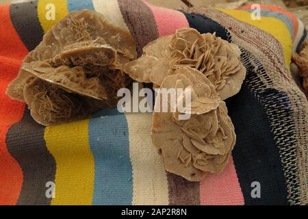 Sahara Rosen auf dem Tisch Chot El Jerid Salt Lake Ruhezone Stockfoto