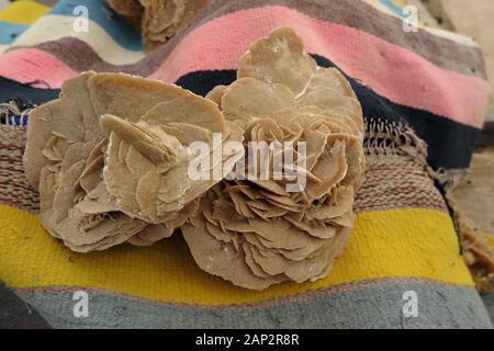 Sahara Rosen auf dem Tisch Chot El Jerid Salt Lake Ruhezone Stockfoto