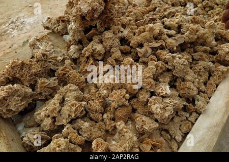 Sahara Rosen an die Chot El Jerid Salt Lake Ruhezone Stockfoto