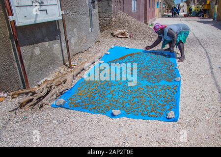 Fadiouth, Senegal, Afrika - April 26, 2019: Ein nicht identifizierbarer senegalesische Frau setzt Muscheln auf einer blauen Decke und trocknet sie in der Sonne, so dass sie verkaufen können. Stockfoto