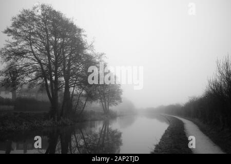 Am frühen nebligen Morgen am Trent and Mersey Kanal (Staffordshire, Großbritannien). Reflexion der grünen Bäume im Wasser. Fußweg, der in die Ewigkeit geht Stockfoto