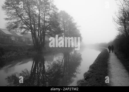 Am frühen nebligen Morgen am Trent and Mersey Kanal (Staffordshire, Großbritannien). Reflexion der grünen Bäume im Wasser. Fußweg, der in die Ewigkeit geht Stockfoto