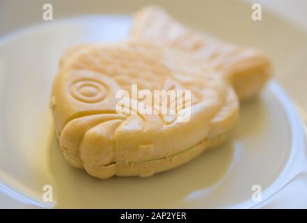 Fisch kuchen Eis koreanisches Essen leckeren Fisch Form kegel Eis rote Bohne Tapiokastärke Kaffee Milch Geschmack süße Füllung Dessert eingefroren Stockfoto