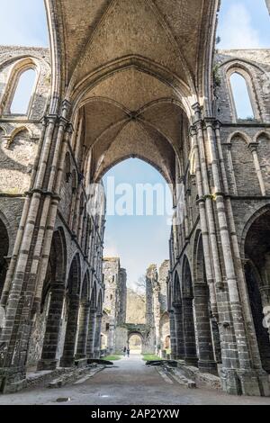 Abtei von Villers (Abbaye de Villers) ist eine ehemalige Zisterzienserabtei in der Nähe von Villers-la-Ville in der Provinz Wallonisch-Brabant Stockfoto