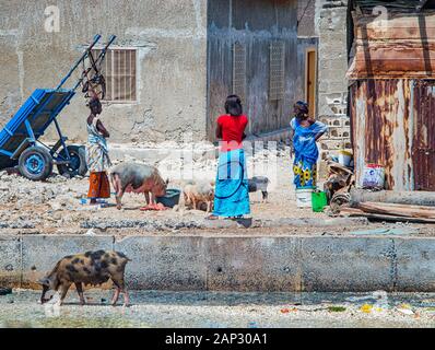 Fadiouth, Senegal, Afrika - April 26, 2019: Unbekannter senegalesische Frau in Buntes Kleid Feeds vor der alten Häuser in einer Gruppe von Hausschweinen Stockfoto