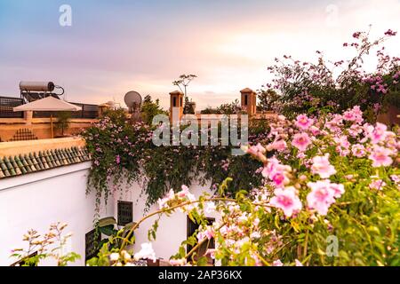 Riad Dach in Medina in Marrakesch Stockfoto