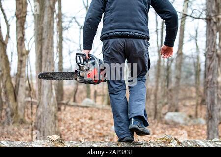Holzfäller mit einem Gas-Powered Kette Säge schneiden von Bäumen in der Nähe von Stockfoto
