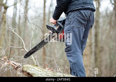 Holzfäller mit einem Gas-Powered Kette Säge schneiden von Bäumen in der Nähe von Stockfoto