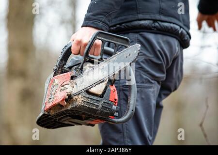 Holzfäller mit einem Gas-Powered Kette Säge schneiden von Bäumen in der Nähe von Stockfoto