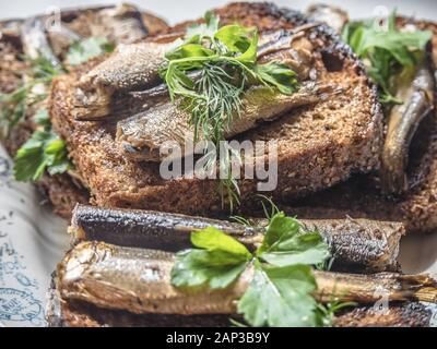 Sandwich Sprotten auf Brot Stockfoto