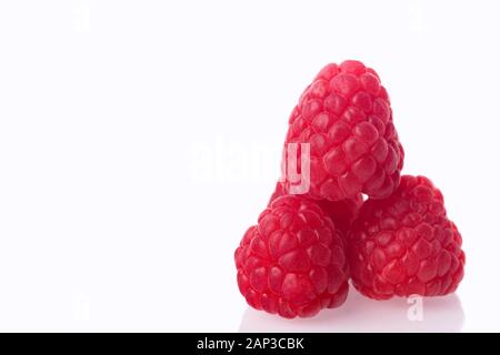 Reife Himbeeren auf weißem Hintergrund mit Leerzeichen getrennt für Text. Stockfoto