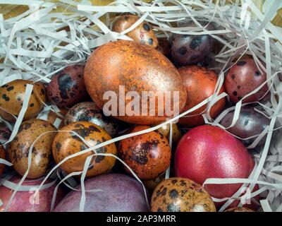 Bemalte Hühner und Wachteln Eier in einem Korb Stockfoto