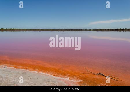 Salzig Pink Lake in Dimboola, Victoria, Australien Stockfoto