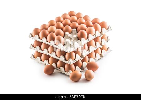 Frische Hühnereier in Pater Fach isoliert auf weißem Hintergrund Stockfoto