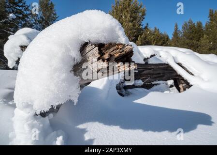 Verfallene Hütte im Winter anmelden, Wallowa County, Oregon. Stockfoto