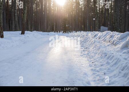 Schneesturm im Park, Winterlandschaft. Herrliche Winterlandschaft, die Straße durch den Wald gehen, alles mit Schnee bedeckt ist. Stockfoto